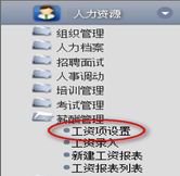 工資項設置