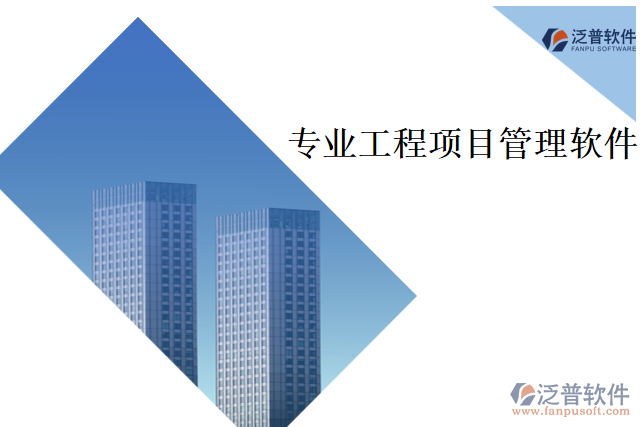 專業(yè)工程項目管理軟件