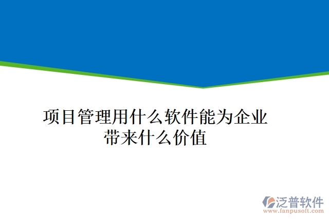 項目管理用什么軟件能為企業(yè)帶來什么價值