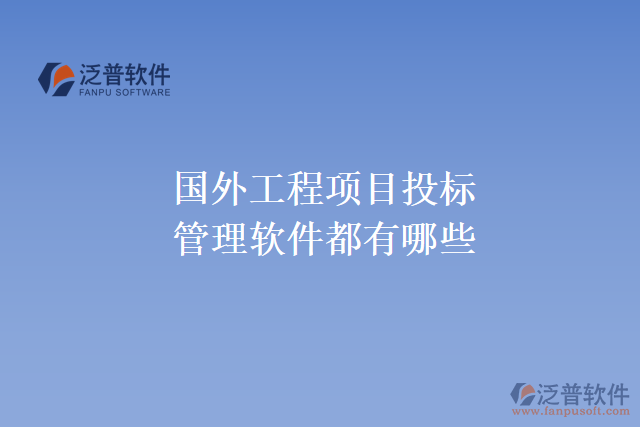 國外工程項目投標管理軟件都有哪些