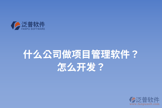 什么公司做項目管理軟件？怎么開發(fā)？