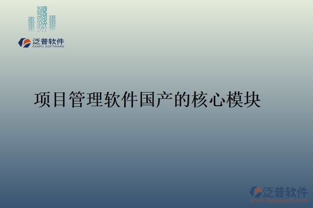 項目管理軟件國產(chǎn)的核心模塊