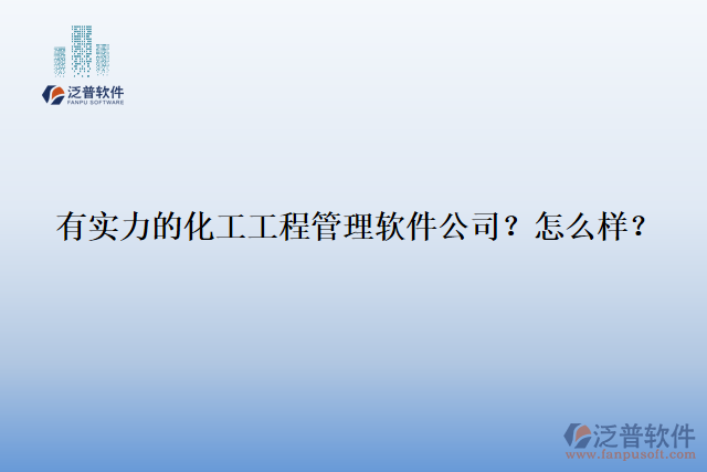 有實力的化工工程管理軟件公司？怎么樣？