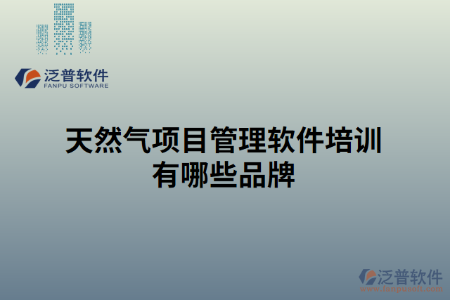 天然氣項(xiàng)目管理軟件培訓(xùn)有哪些品牌