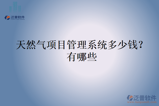 天然氣項(xiàng)目管理系統(tǒng)多少錢？有哪些