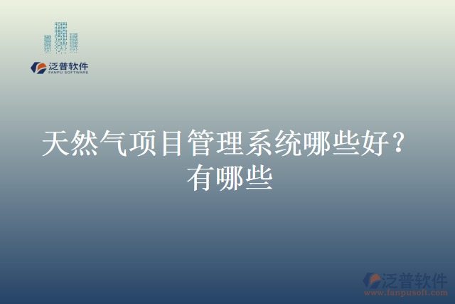 天然氣項(xiàng)目管理系統(tǒng)哪些好？有哪些