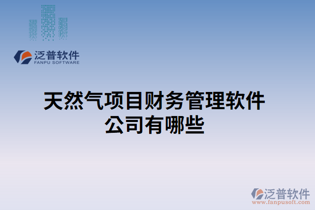 天然氣項目財務管理軟件公司有哪些