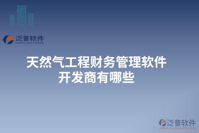 天然氣工程財務(wù)管理軟件開發(fā)商有哪些