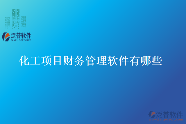 化工項目財務(wù)管理軟件有哪些
