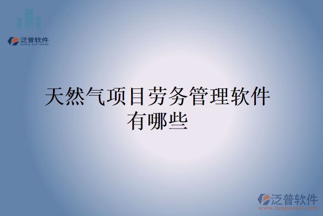 天然氣項目勞務管理軟件有哪些