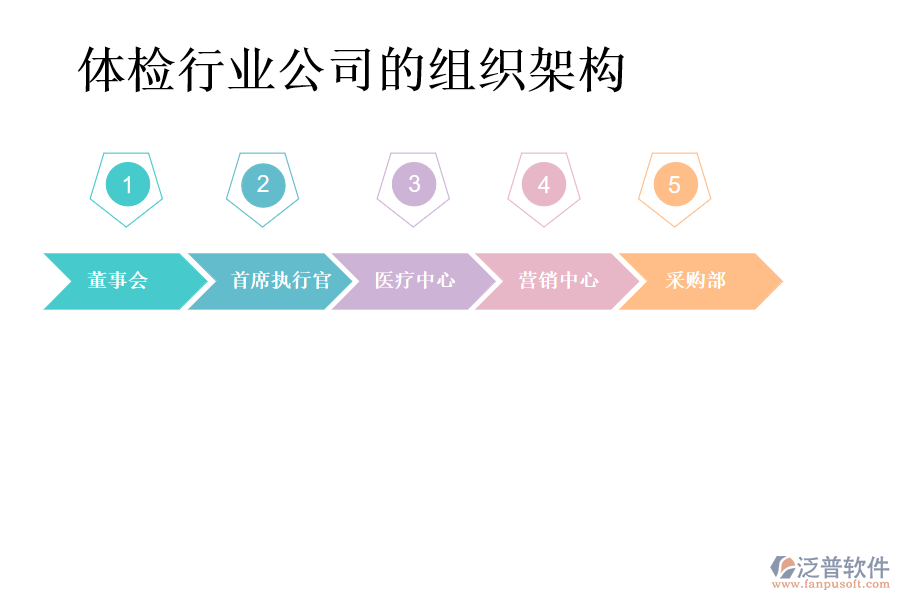 體檢行業(yè)公司的組織架構