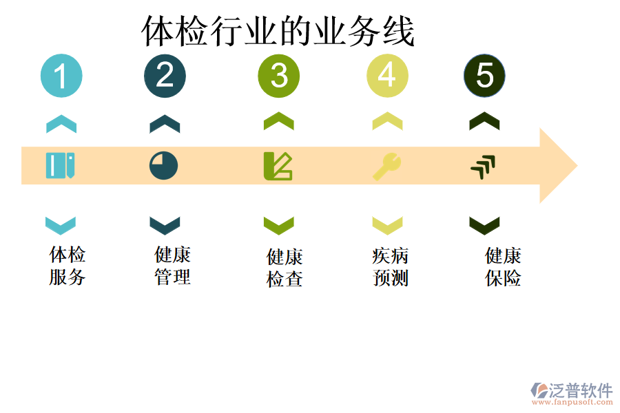體檢行業(yè)的業(yè)務線
