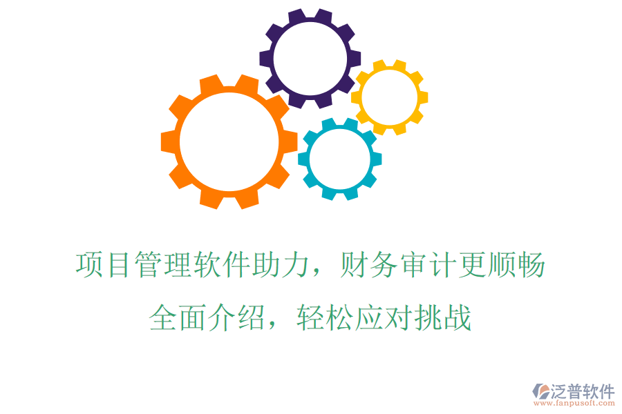 項(xiàng)目管理軟件助力，財(cái)務(wù)審計(jì)更順暢，全面介紹，輕松應(yīng)對挑戰(zhàn)