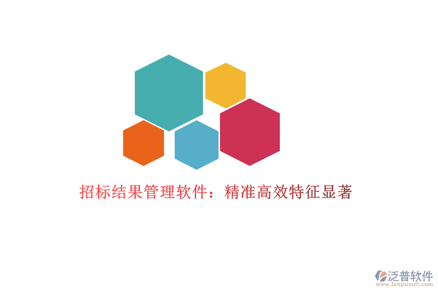 招標結(jié)果管理軟件：精準高效，特征顯著