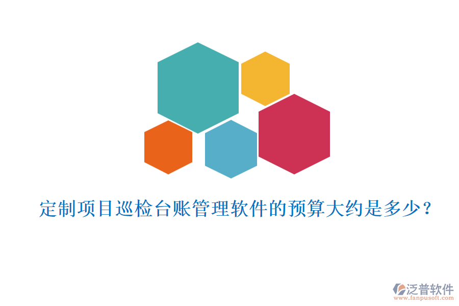 定制項目巡檢臺賬管理軟件的預算大約是多少？
