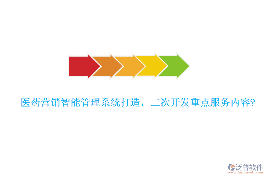 醫(yī)藥營銷智能管理系統(tǒng)打造，二次開發(fā)重點服務內容?