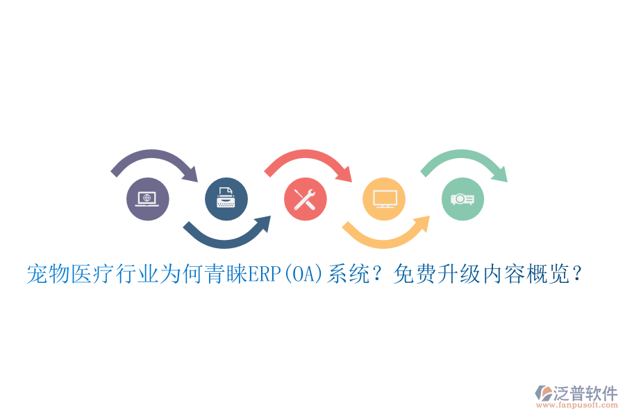 寵物醫(yī)療行業(yè)為何青睞ERP(OA)系統(tǒng)？免費(fèi)升級內(nèi)容概覽？