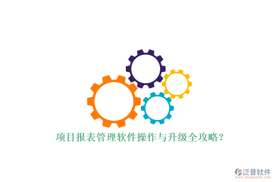 項(xiàng)目報表管理軟件操作與升級全攻略?
