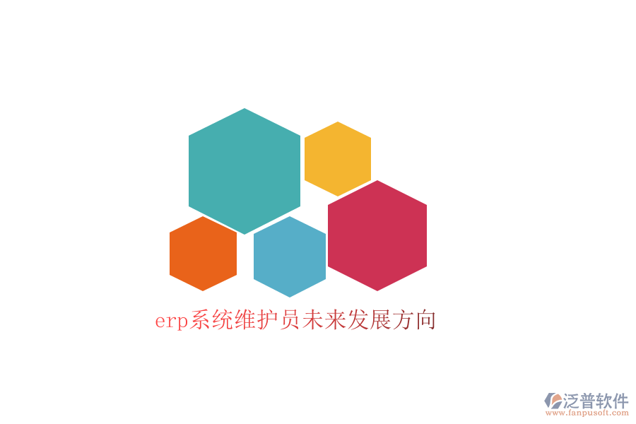 erp系統(tǒng)維護員未來發(fā)展方向
