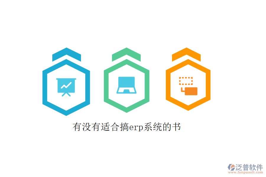 有沒(méi)有適合搞erp系統(tǒng)的書(shū)