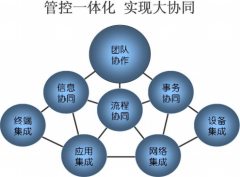 XX食品集團(tuán)協(xié)同運(yùn)營管理設(shè)計(jì)理念不規(guī)劃