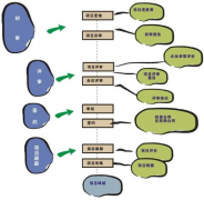 擔保業(yè)務(wù)管理系統(tǒng)ThinkOne