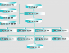 財(cái)務(wù)管理信息系統(tǒng)（單機(jī)版）