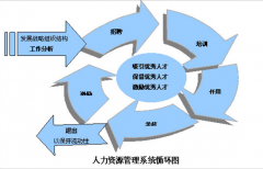 人力資源管理系統(tǒng)有哪些產(chǎn)品？