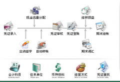 什么財務(wù)軟件、最適合兼職會計(jì)、代帳公司用啊？