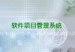 什么是項目管理軟件??！在那里可以下載啊！