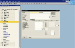在哪里能下載到SAP財務軟件呢？
