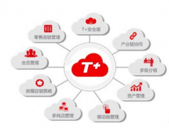 用友t+(U盤版)這個軟件怎么樣？
