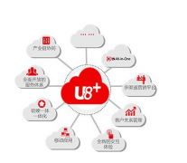 用友U8軟件問題，誰遇到過啊？