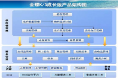 金蝶K3軟件求助？