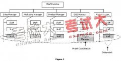 關(guān)于項目管理辦公室的一點實踐